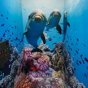  Hostel Tabist Sparkling Dolphins Japan